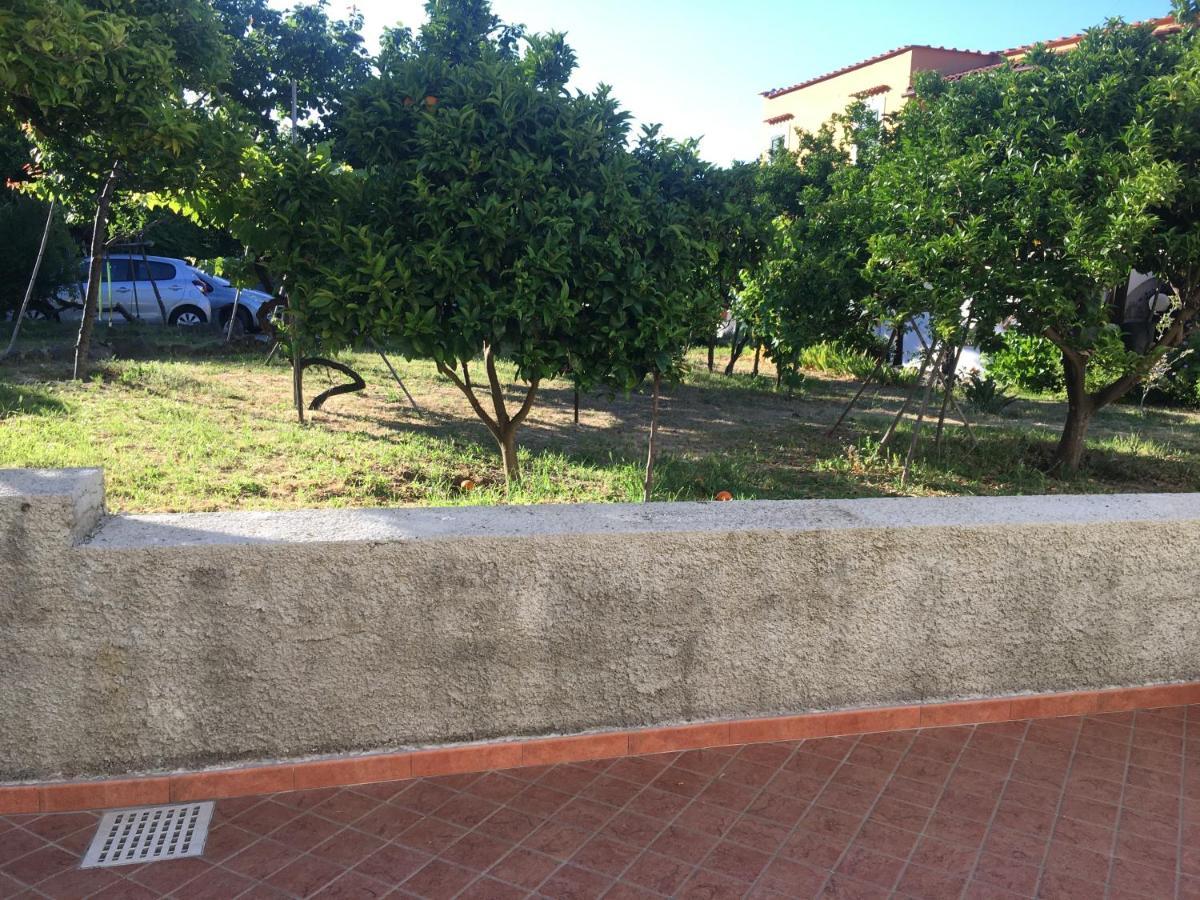 Ferienwohnung La Finestra Sul Giardino Ischia Exterior foto